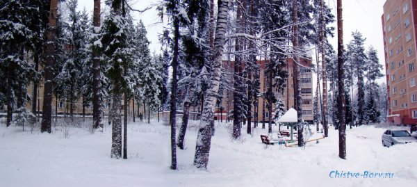 Большая зимняя прогулка 27 ноября 2010 года